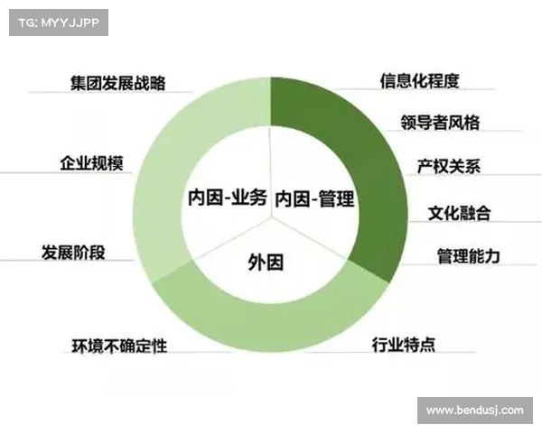 DK宏技术应用研究优化策略与实践指南分析 DK宏技术应用研究优化策略与实践指南分析