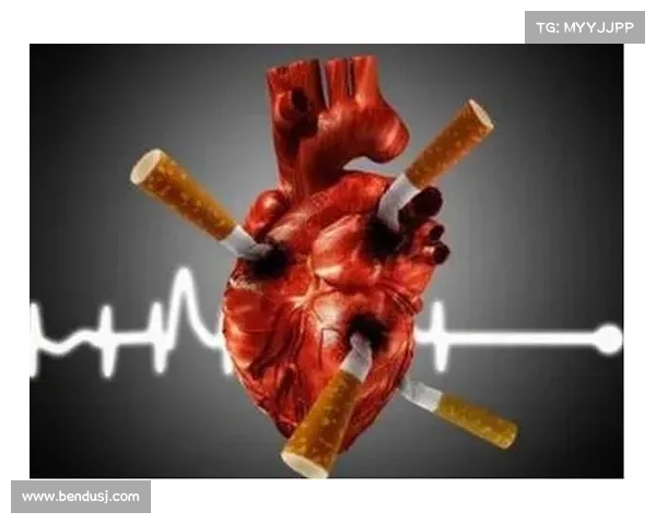 那些看似微小却可能导致无法挽回致命后果的错误解析